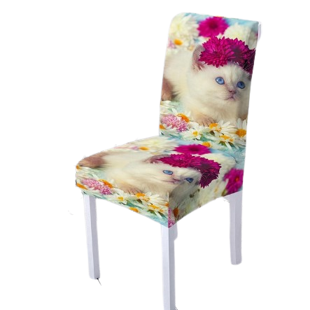 Cubierta De La Silla Del Gato